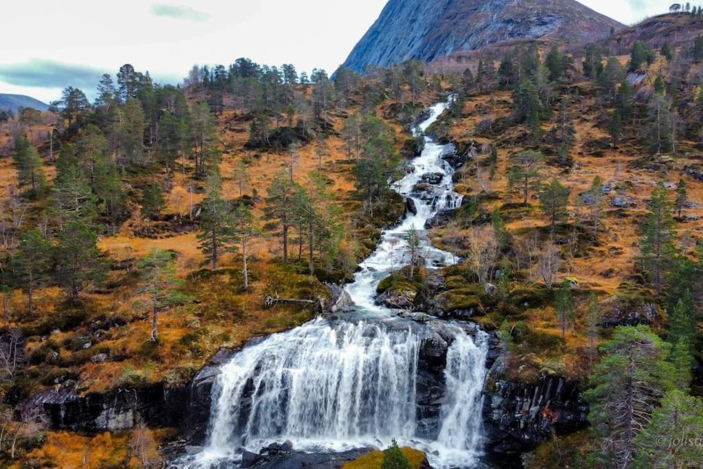 סטראנדה Holiday Home Among The Pearls Of Norway מראה חיצוני תמונה