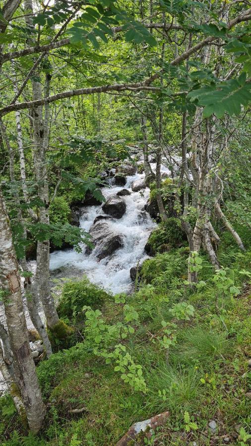 סטראנדה Holiday Home Among The Pearls Of Norway מראה חיצוני תמונה