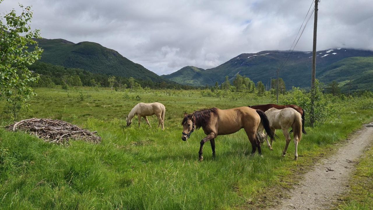 סטראנדה Holiday Home Among The Pearls Of Norway מראה חיצוני תמונה