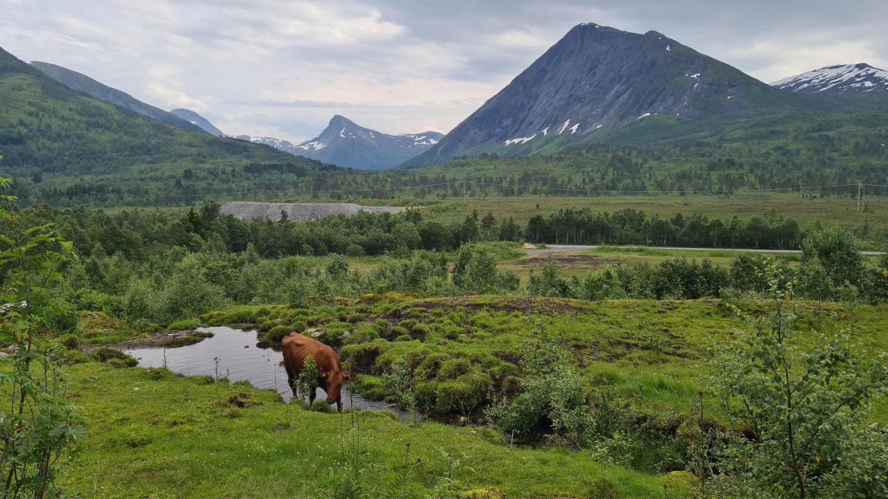 סטראנדה Holiday Home Among The Pearls Of Norway מראה חיצוני תמונה