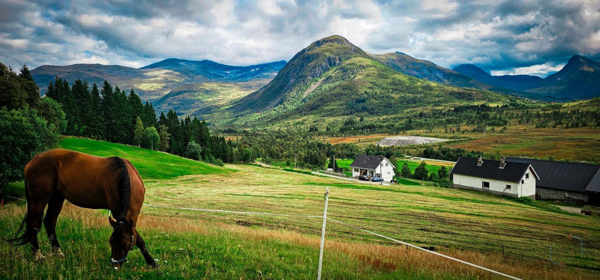 סטראנדה Holiday Home Among The Pearls Of Norway מראה חיצוני תמונה